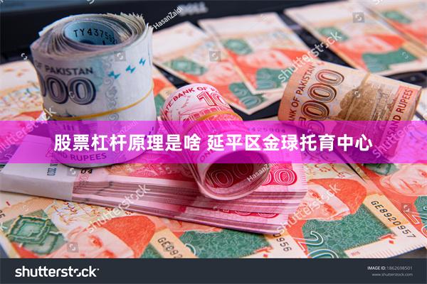 股票杠杆原理是啥 延平区金琭托育中心