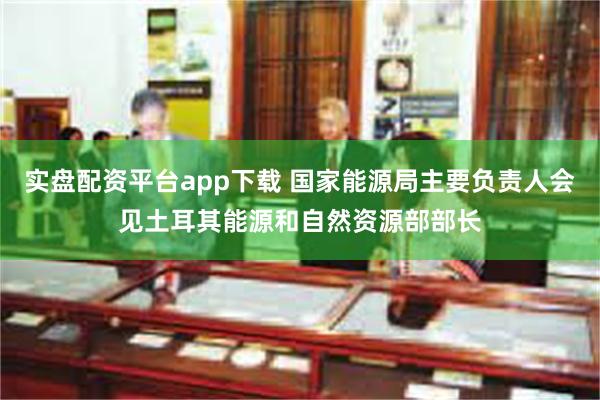 实盘配资平台app下载 国家能源局主要负责人会见土耳其能源和自然资源部部长