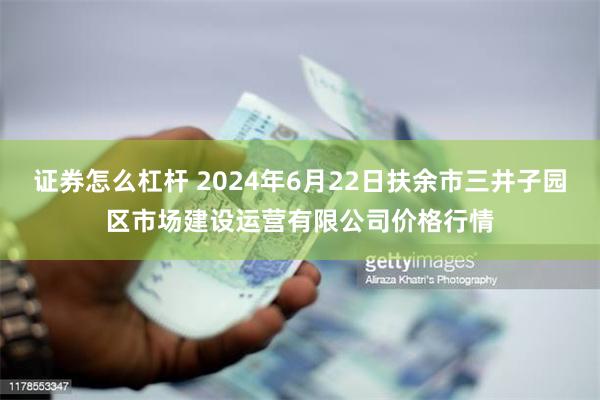 证券怎么杠杆 2024年6月22日扶余市三井子园区市场建设运营有限公司价格行情