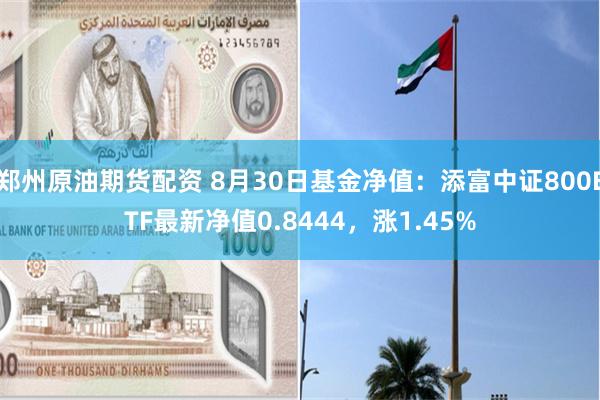 郑州原油期货配资 8月30日基金净值：添富中证800ETF最新净值0.8444，涨1.45%