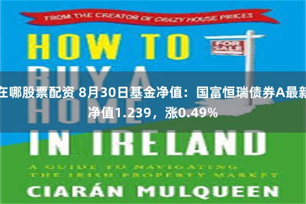 在哪股票配资 8月30日基金净值：国富恒瑞债券A最新净值1.239，涨0.49%