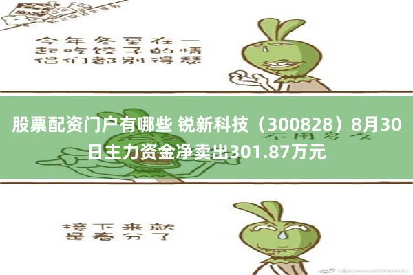 股票配资门户有哪些 锐新科技（300828）8月30日主力资金净卖出301.87万元