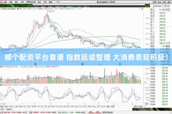 哪个配资平台靠谱 指数延续整理 大消费表现积极！