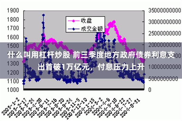 什么叫用杠杆炒股 前三季度地方政府债券利息支出首破1万亿元，付息压力上升