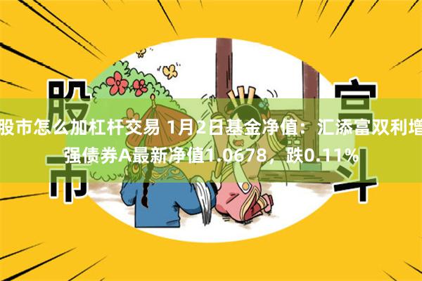 股市怎么加杠杆交易 1月2日基金净值：汇添富双利增强债券A最新净值1.0678，跌0.11%