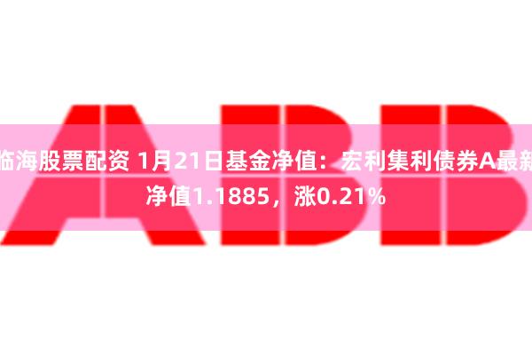 临海股票配资 1月21日基金净值：宏利集利债券A最新净值1.1885，涨0.21%