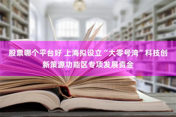 股票哪个平台好 上海拟设立“大零号湾”科技创新策源功能区专项发展资金